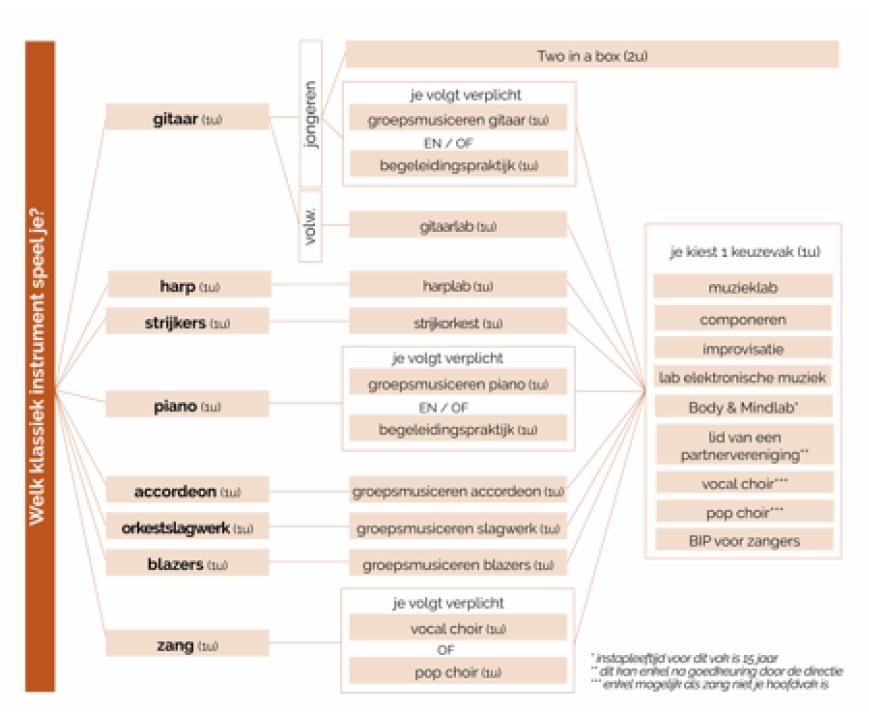 Schema: Derde graad muziek - optie klassiek