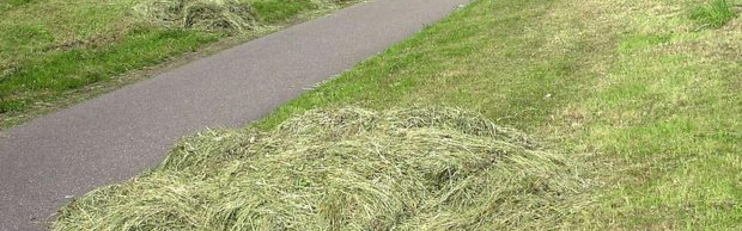 De bermen langs de openbare wegen die net gemaaid zijn.