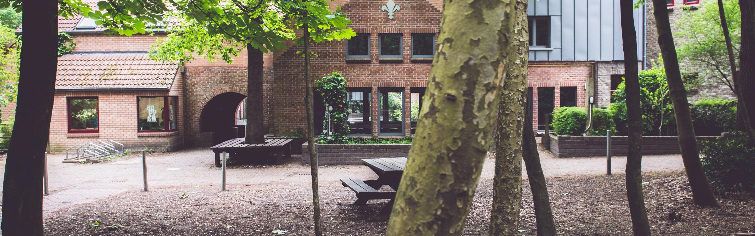 Bomen in een bos met op de achtergrond een gebouw.