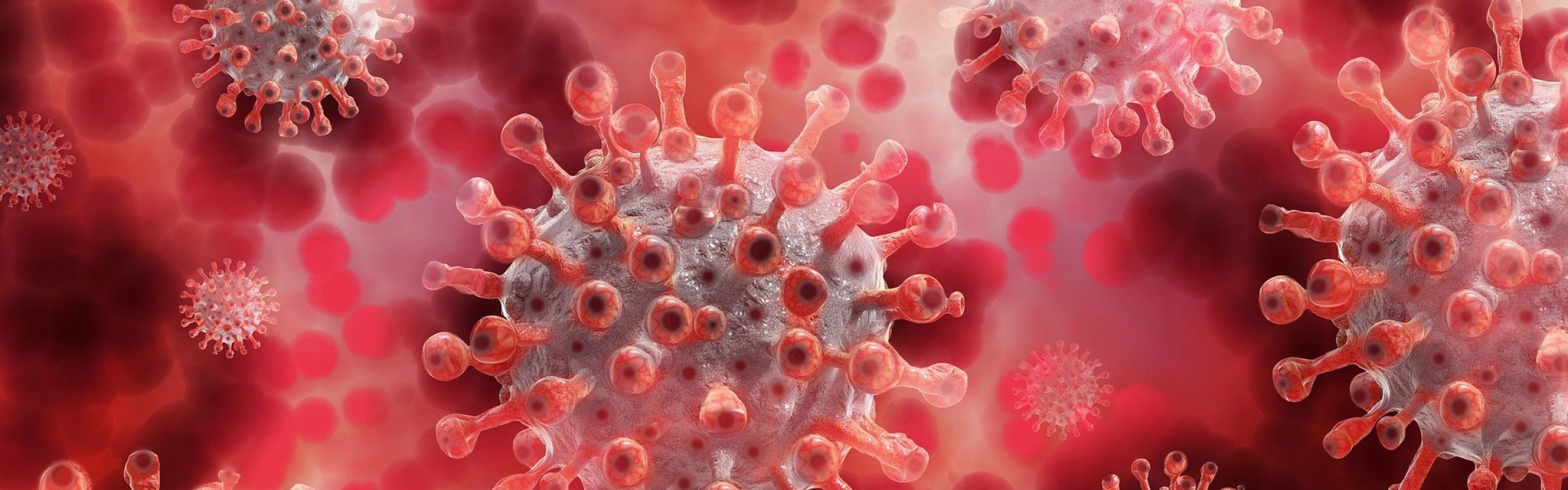 Een corona virus samen met andere virussen.