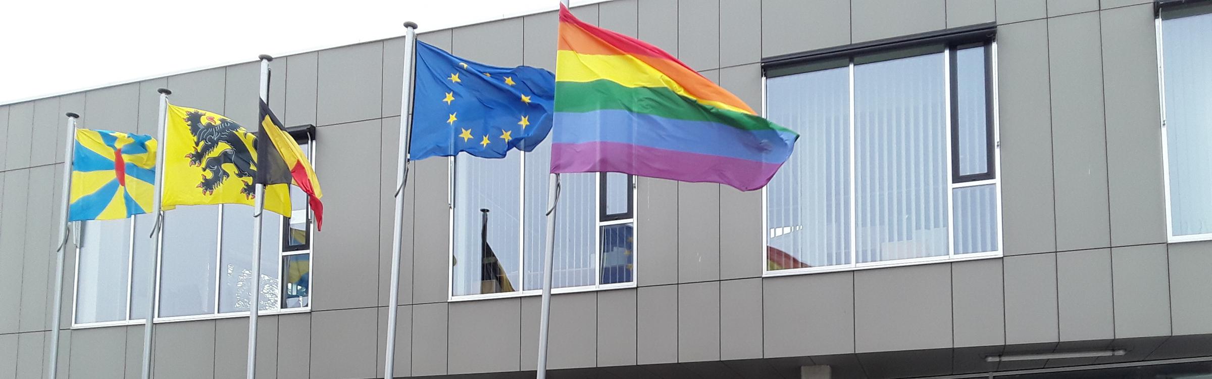 Regenboogvlaggen wapperen in Zedelgem voor de culturele diversiteit.