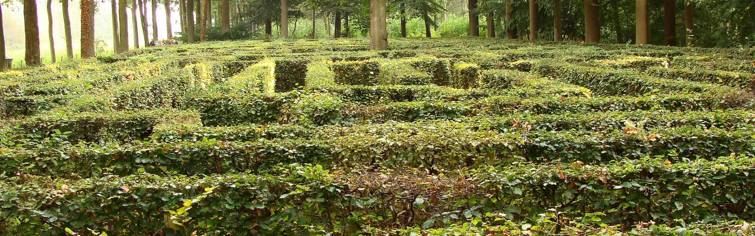 Het doolhof van Loppem.