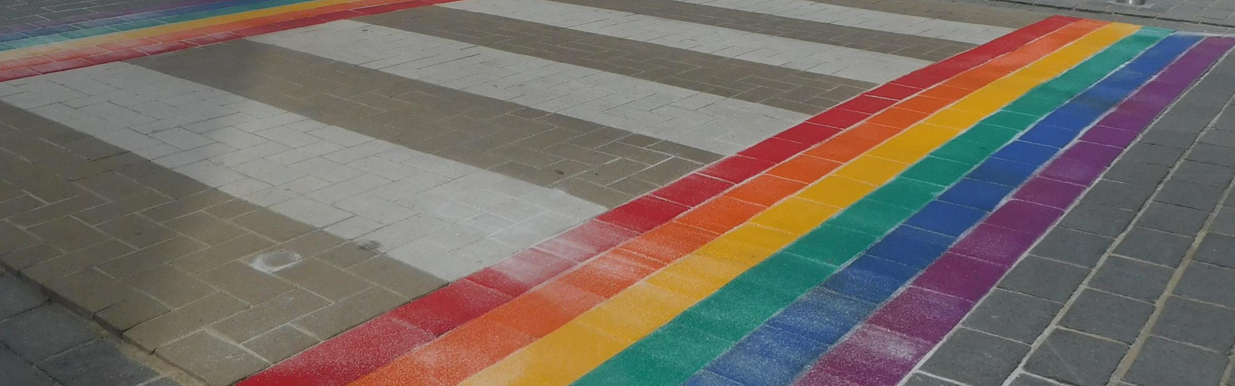 Het regenboog zebrapad in Zedelgem.