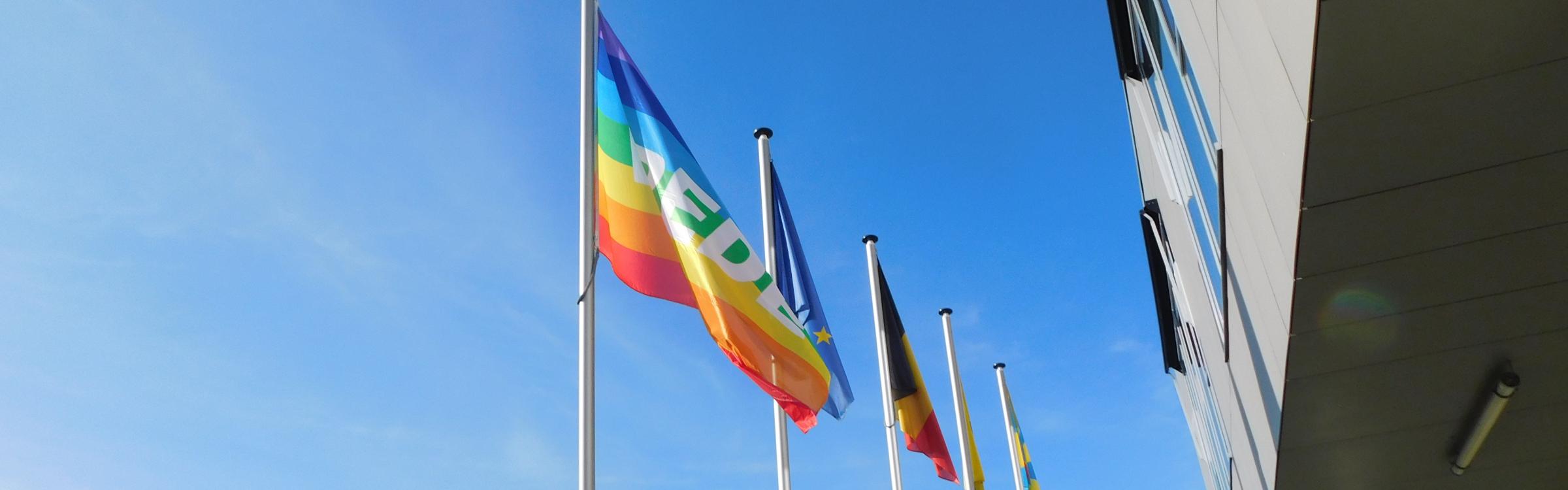 De regenboogvlaggen wapperen voor het gemeentehuis van Zedelgem.
