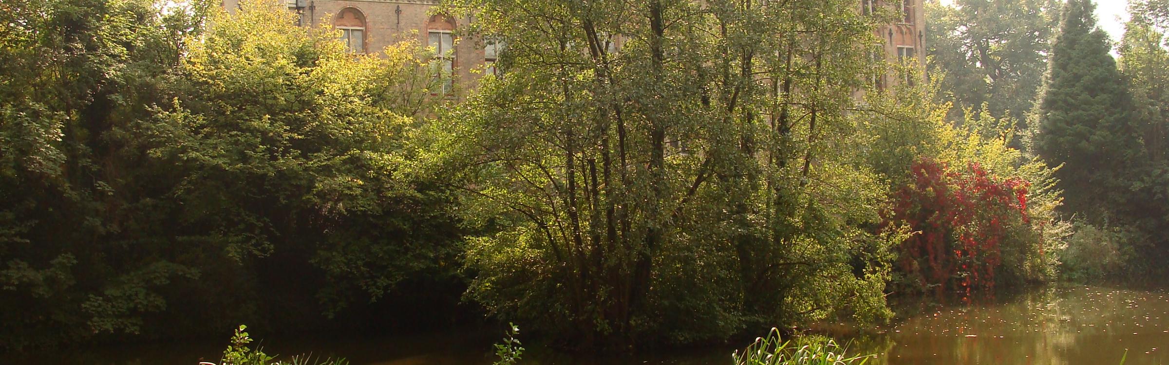 Het kasteel van Loppem op een zonnige dag.