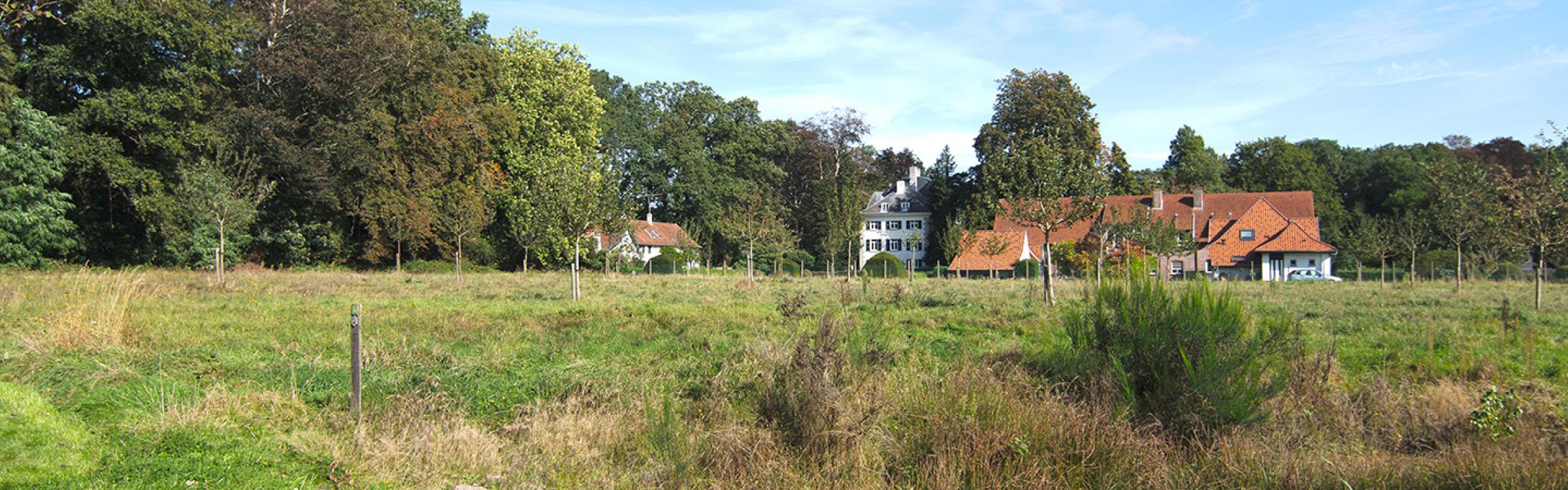 Het vloethemveld op een zonnige dag.