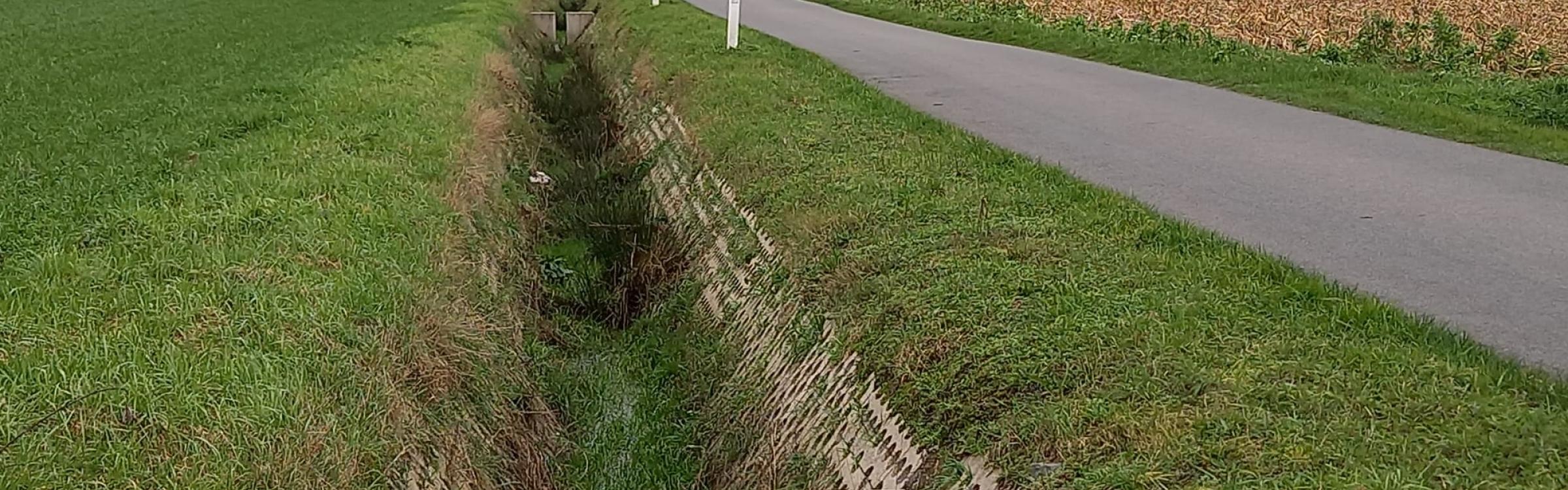 De Hollebekestraat voor de start van de werken.