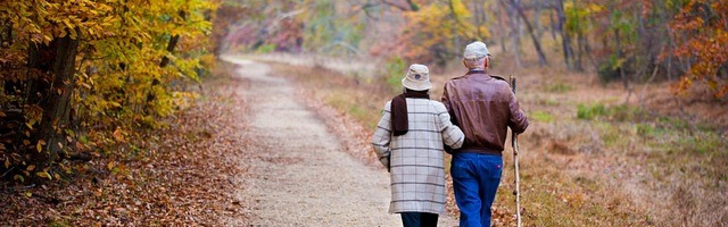 Mensen wandelend in de natuur.