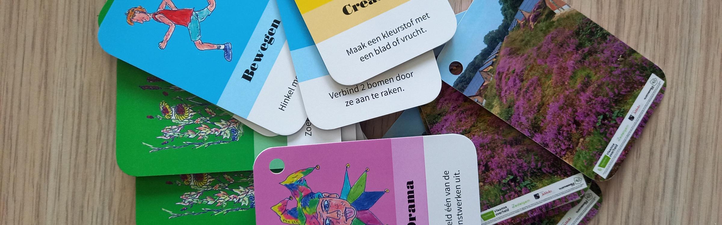 Het natuureducatief kaartspel voor gezinnen in Vloethemveld.