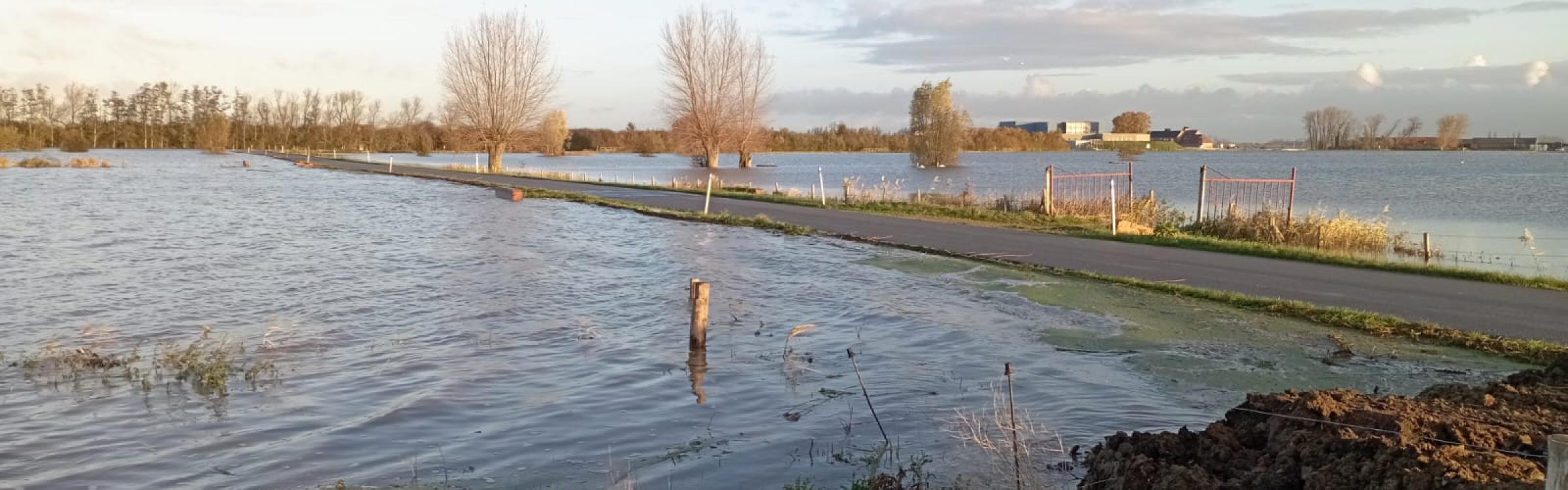 Onderwater gelopen weides zorgen bijna voor een overstroming.