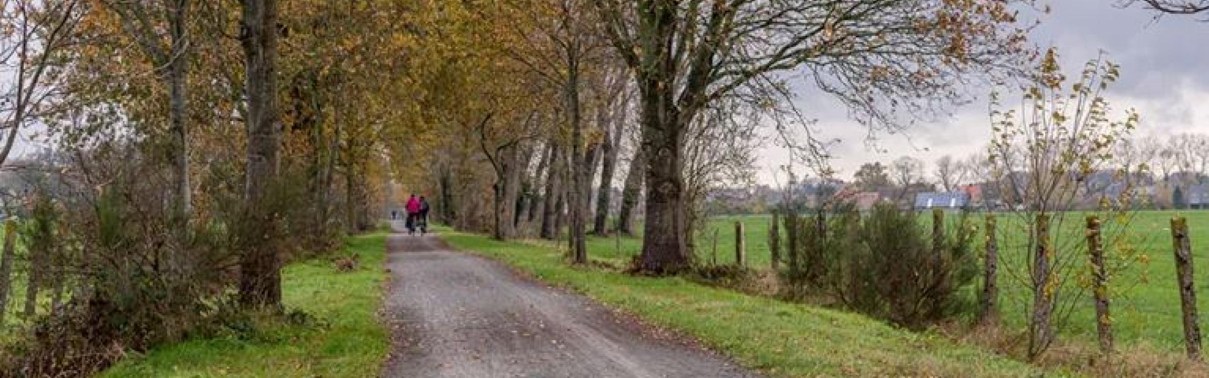 Wandeloversteek achter het domein De Groene Meersen richting Vloethemveldzate.