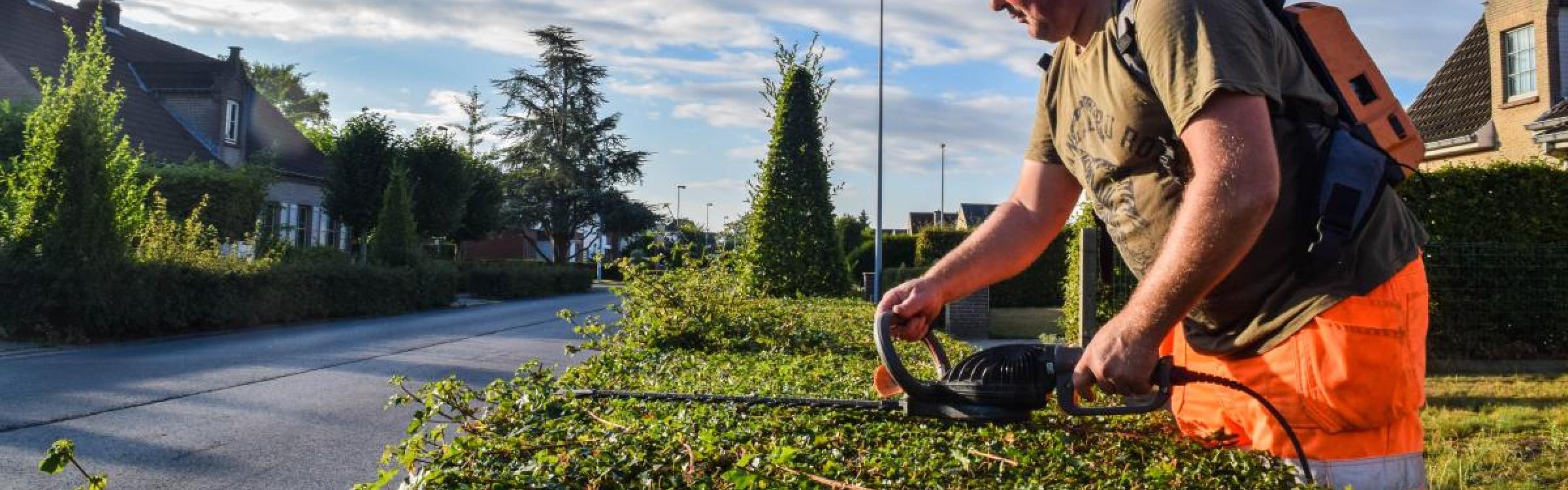 Arbeider groendienst scheert een haag