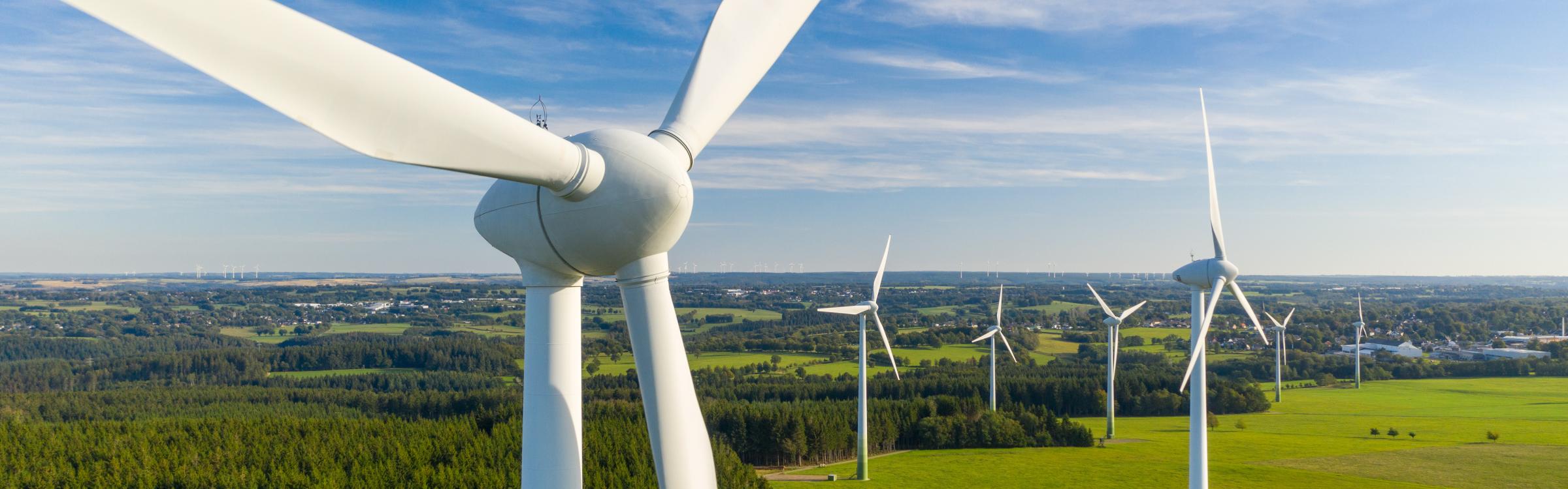 Windmolens in groen landschap