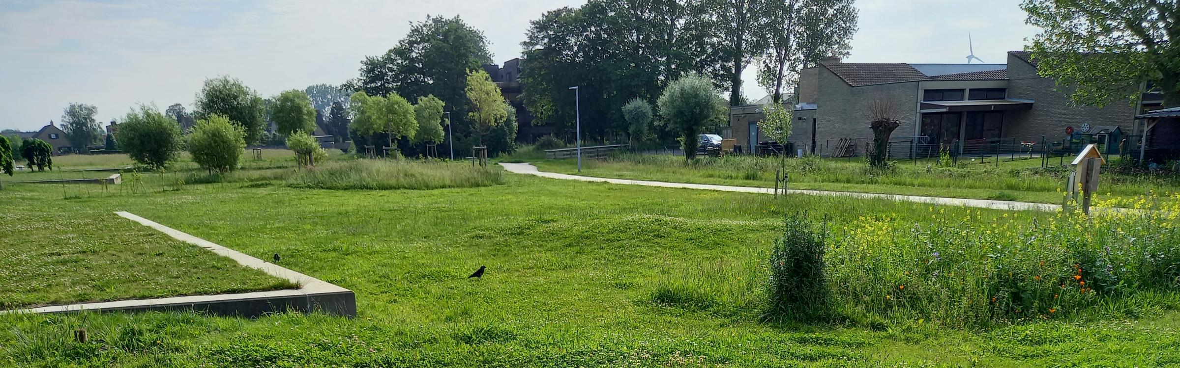 Peerdebilk in Zedelgem