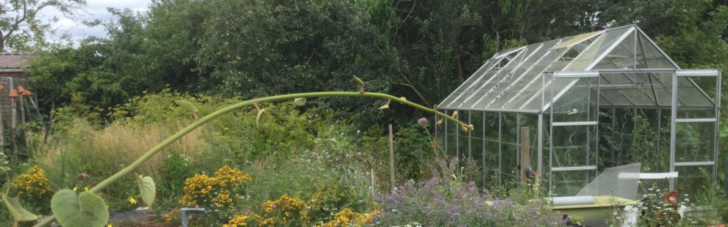 Voedseltuin Silex Fruitbos in Aartrijke