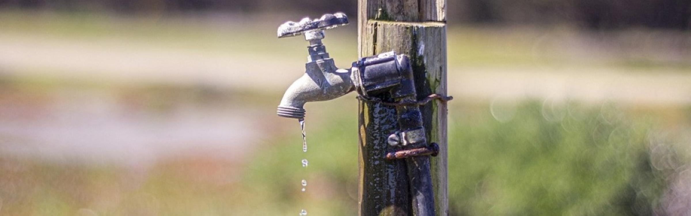 Kraantje op een veld waar wat water uitdruppelt
