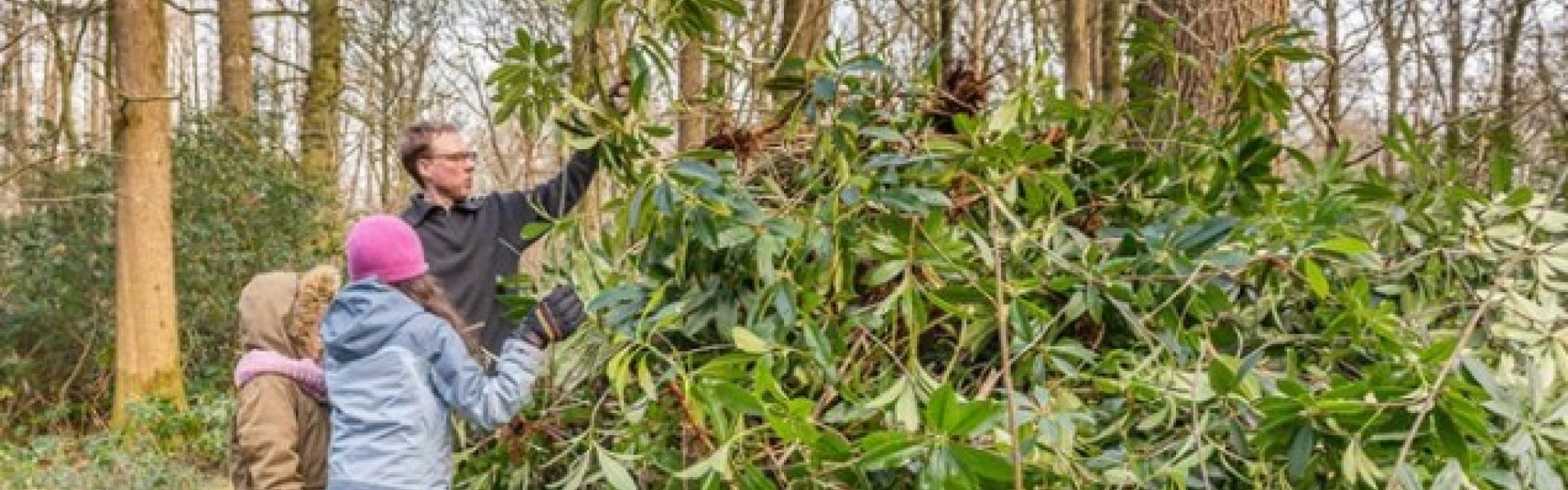 Foto van mensen die werken uitvoeren in het bos - foto van Erwin Derous