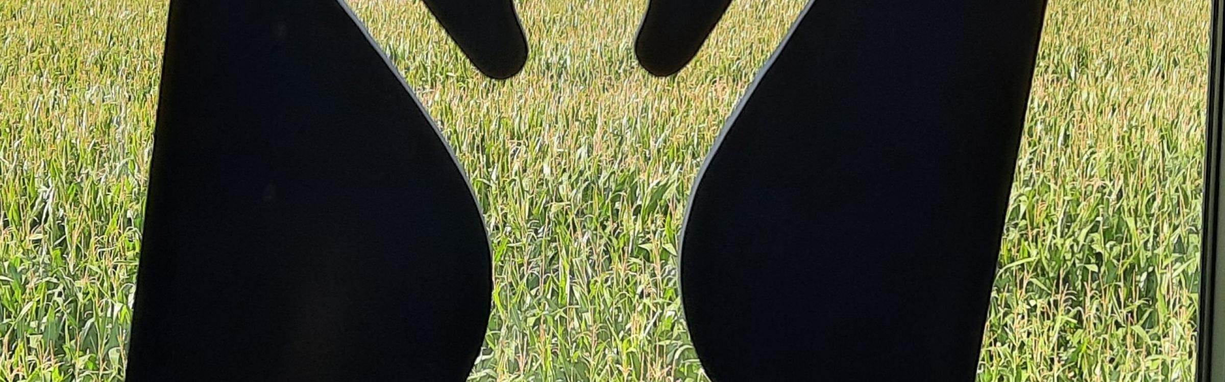 foto van kunstwerk marc caelenberghe