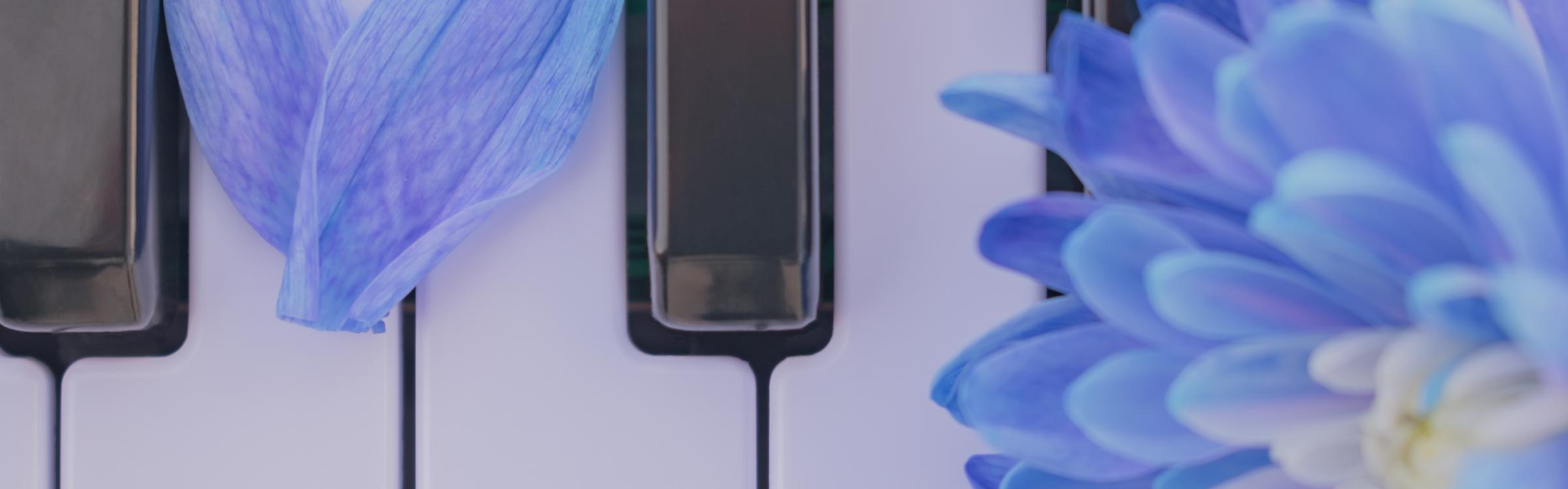 Piano met een blauwe bloem op de toetsen