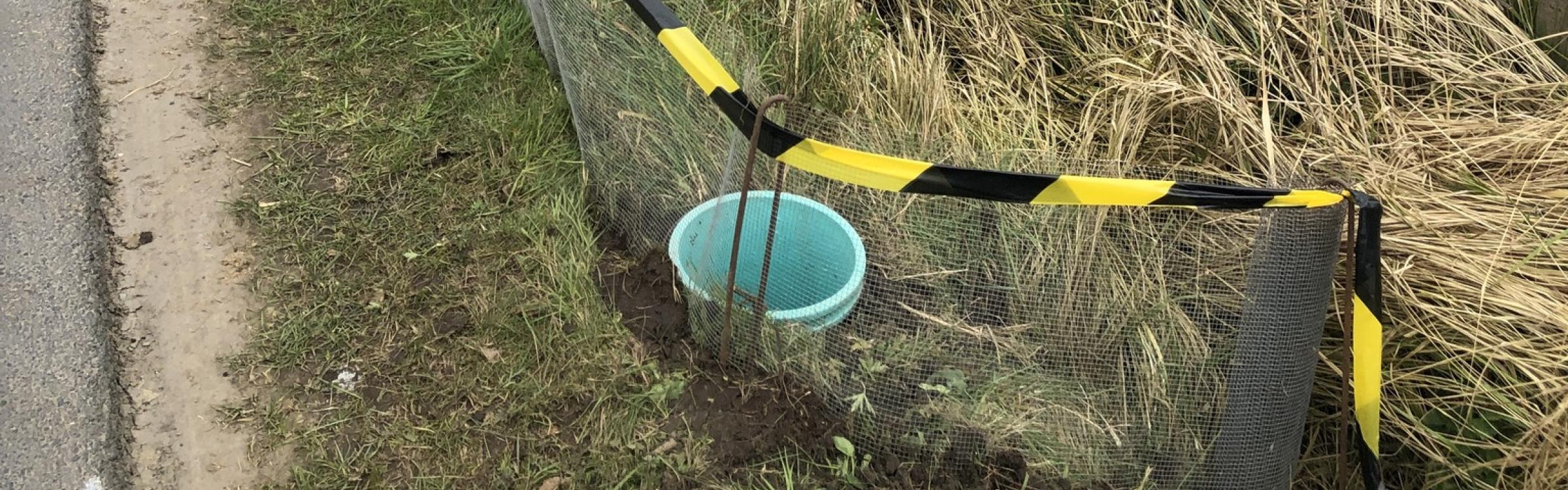 Scherm voor de paddenoverzetactie langs de Moubekestraat