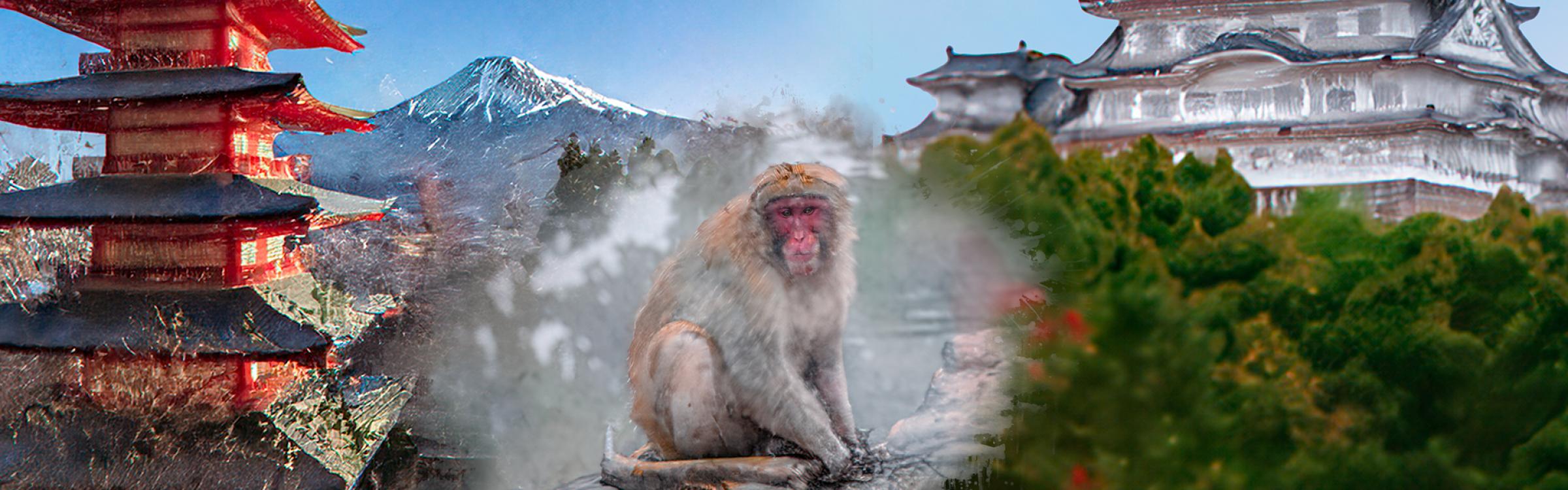 Visual voorstelling over Japan met tempels en een aapje