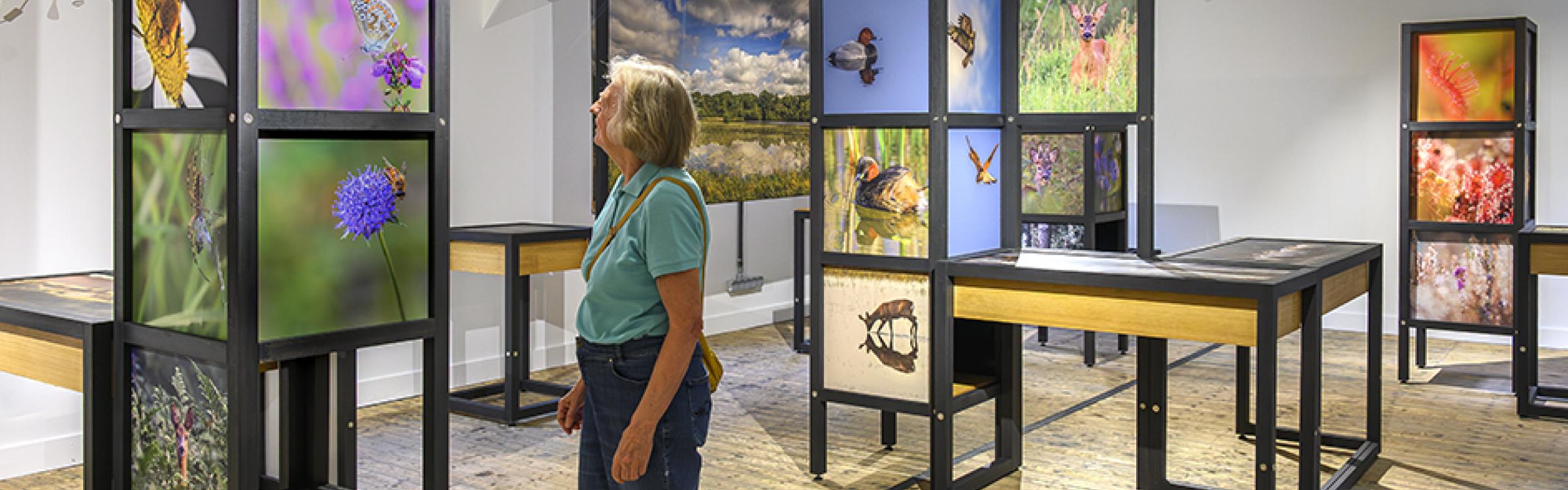 Dame kijkt naar foto's in het Kamphuis in Vloethemveld