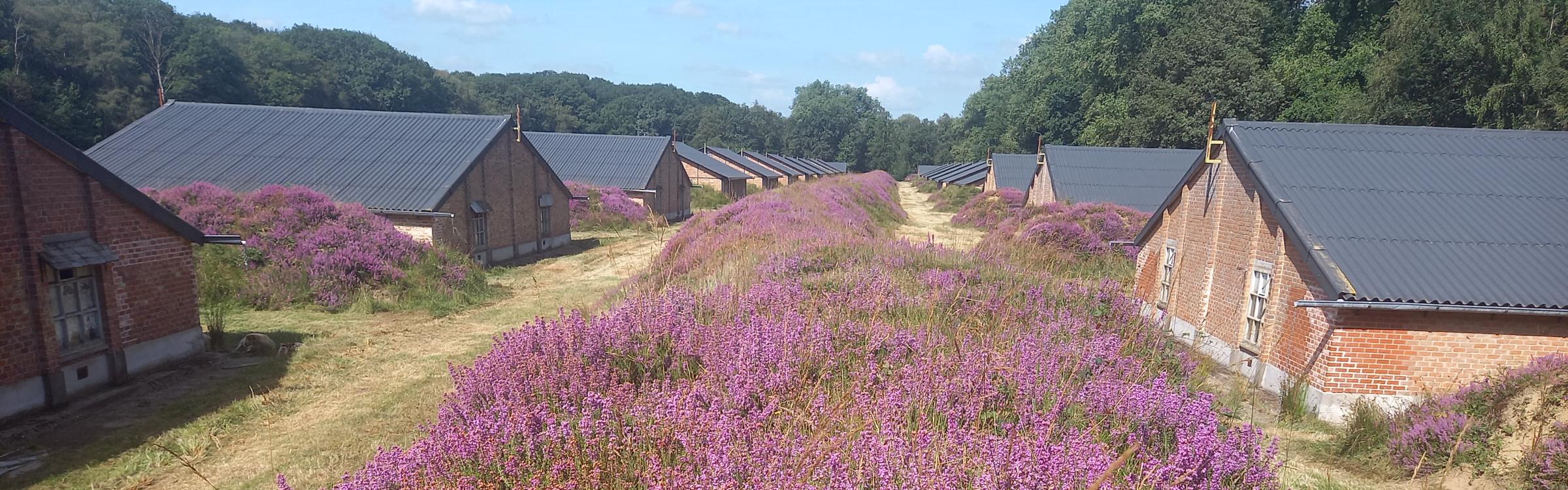 Foto van het voormalige krijgsgevangenenkamp in Vloethemveld
