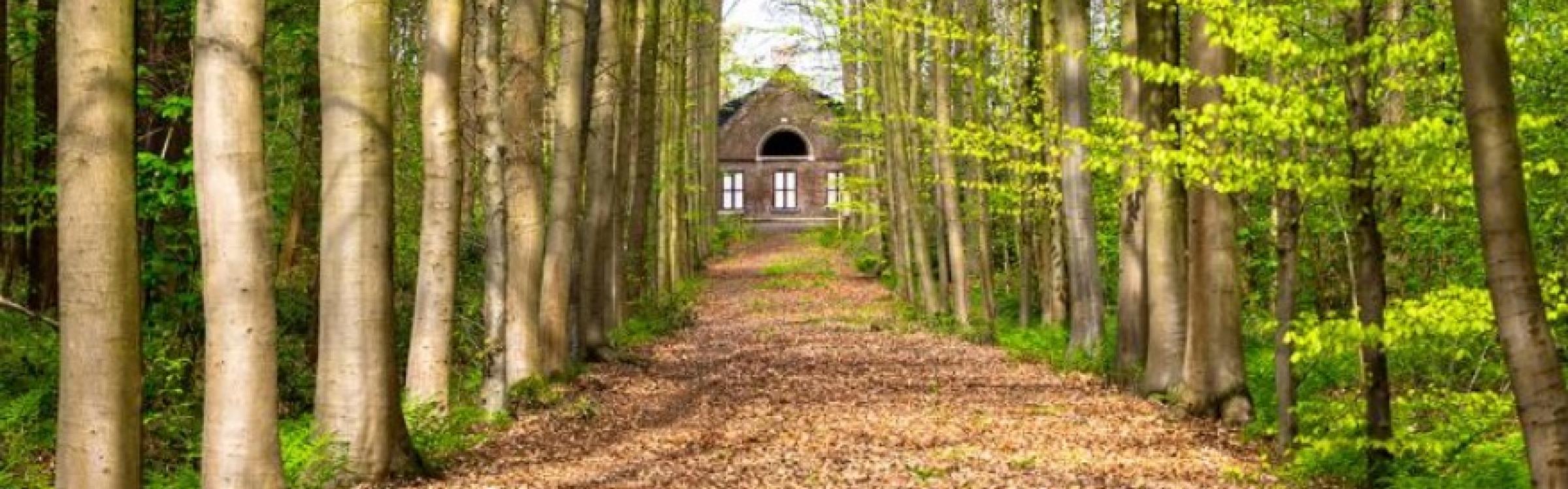 Plaisierbos Veldegem