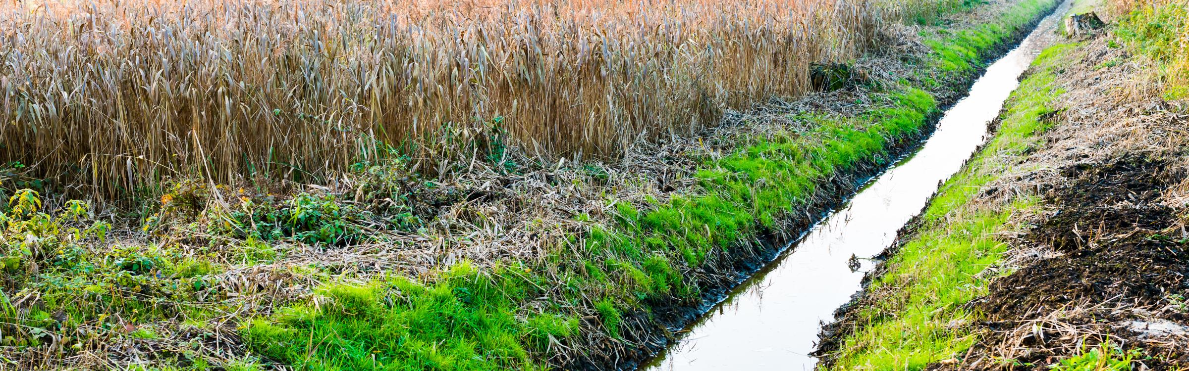 Watergracht tussen akkers