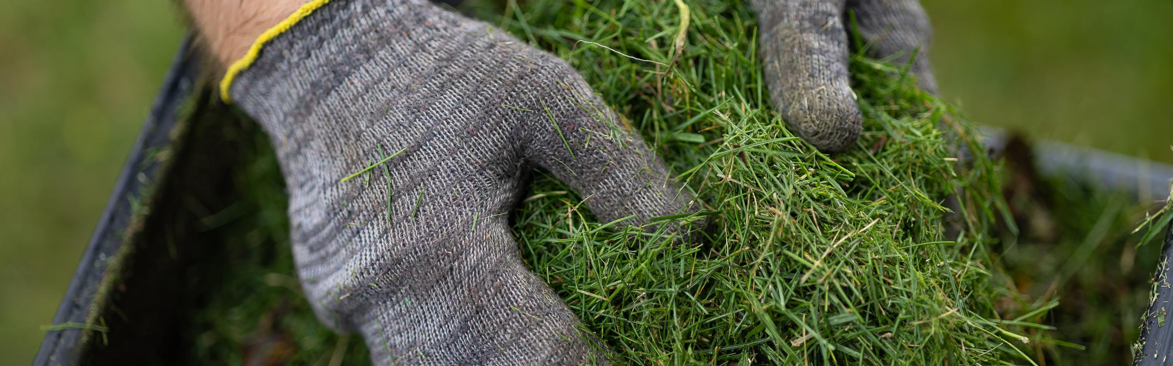 2 handen houden een hoopje afgereden gras vast