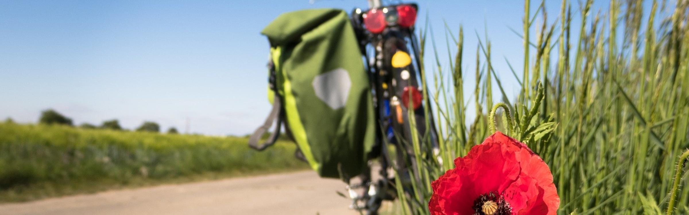 Fiets geparkeerd langs een landelijke weg met klaproos op de voorgrond
