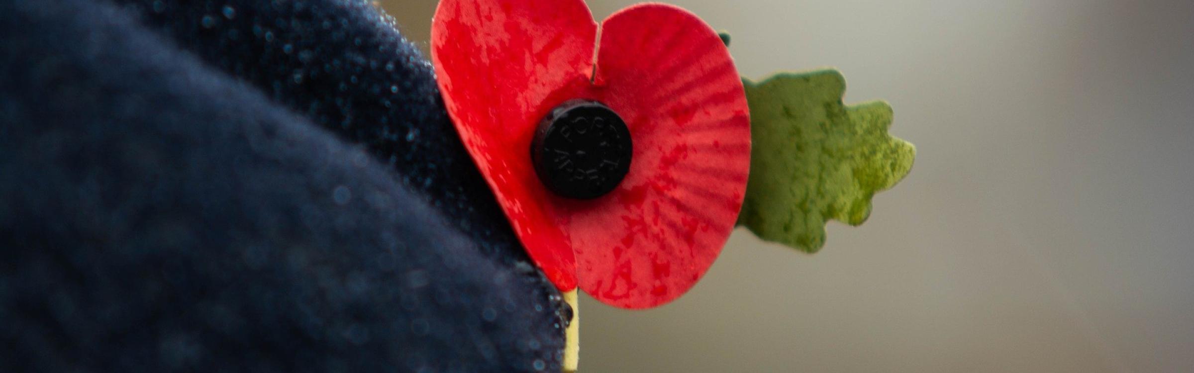 Militair met een klaproos op zijn pet