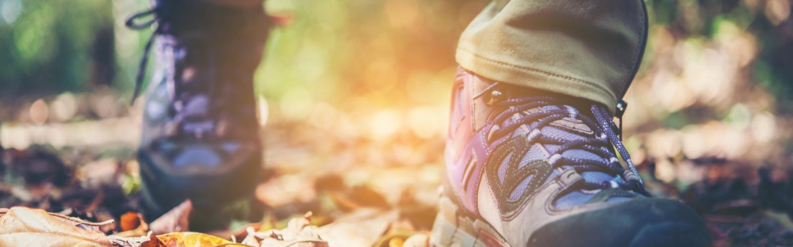Afbeelding wandelschoenen van wandelaar in een bos